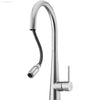 Essente Goose Neck Stainless Steel  Pull Out Mixer