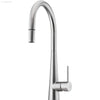 Essente Goose Neck Stainless Steel  Pull Out Mixer